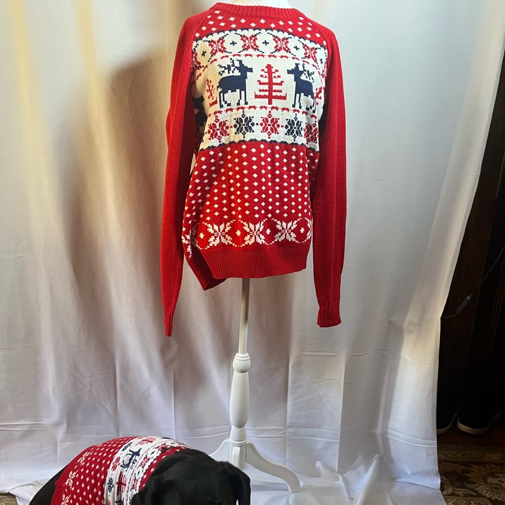 Blueberry Dog and Owner Matching Ugly Christmas Sweaters.